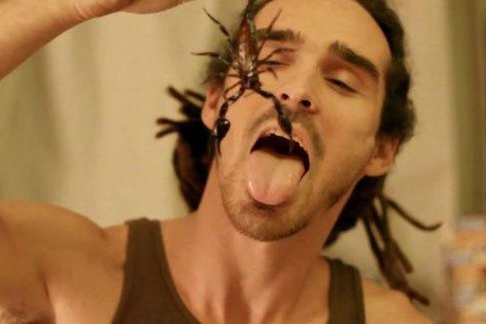 ___4260116___https:______static.pulse.com.gh___webservice___escenic___binary___4260116___2015___10___14___17___live-scorpion-eat