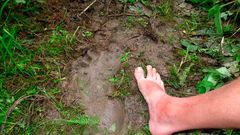 A Yeti popularly referred to as the "mountain man" is an ape-like creature taller than an average human and very huge.