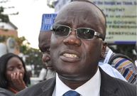 CEO of the Forestry Commission, Kwadwo Owusu Afriyie.