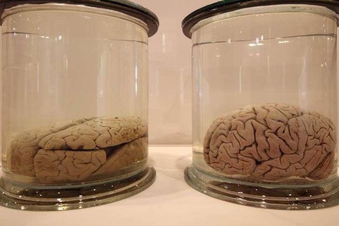 ___3769582___https:______static.pulse.com.gh___webservice___escenic___binary___3769582___2015___5___18___12___BBjLFOJ