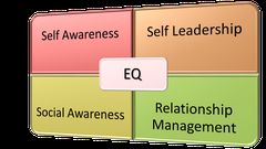 Emotional Intelligence.