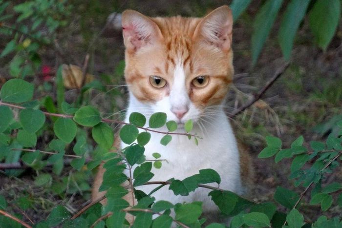 ___3842553___https:______static.pulse.com.gh___webservice___escenic___binary___3842553___2015___6___8___20___getImgIntranet_1