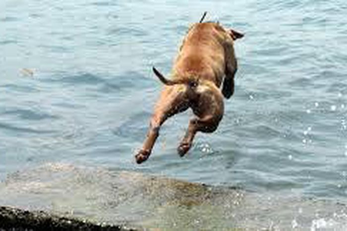 ___3828237___https:______static.pulse.com.gh___webservice___escenic___binary___3828237___2015___6___4___14___images