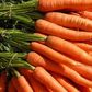 Carrots