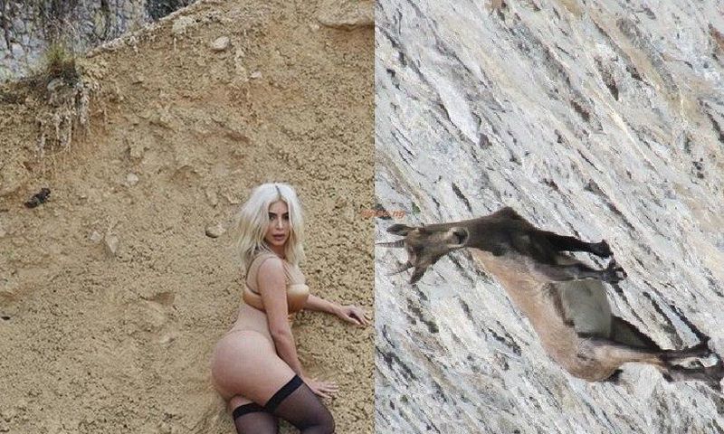 Kim Kardashian's system magazine shoot compared to mountain goat