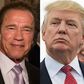 Arnold Schwarzenegger replaces Donald Trump on 'Celebrity Apprentice'