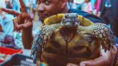 Usher Raymond displaying a turtle at a Moroccan market