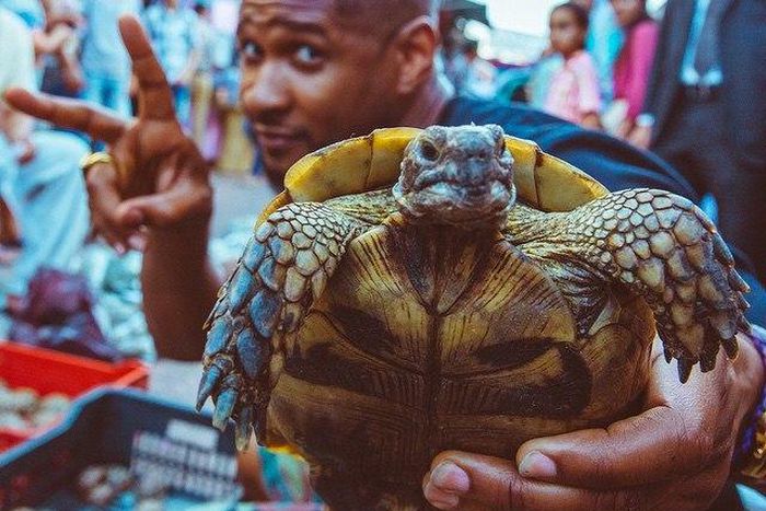 Usher Raymond displaying a turtle at a Moroccan market