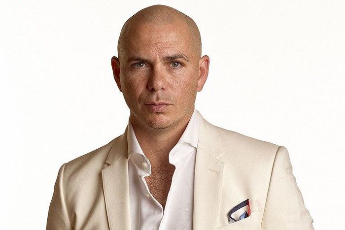 Pitbull gets ready for reality TV