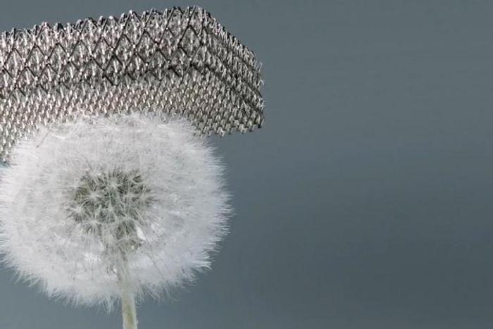 Microlattice metal
