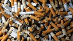 Experts call for embargo on tobacco trade.