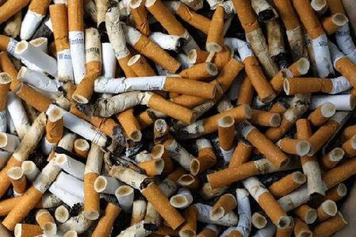 Experts call for embargo on tobacco trade.