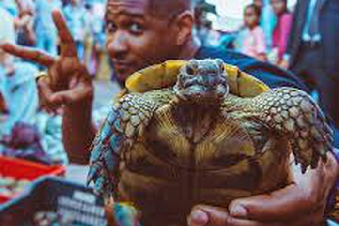 ___3865673___https:______static.pulse.com.gh___webservice___escenic___binary___3865673___2015___6___15___10___images