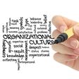 Organizational culture is an important part of any company