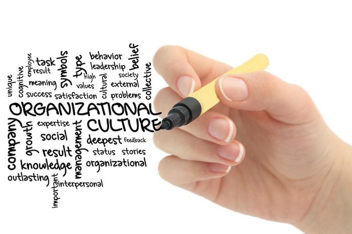 Organizational culture is an important part of any company