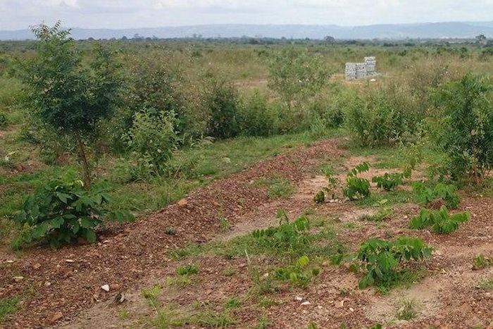 ___3611811___https:______static.pulse.com.gh___webservice___escenic___binary___3611811___2015___3___29___11___land