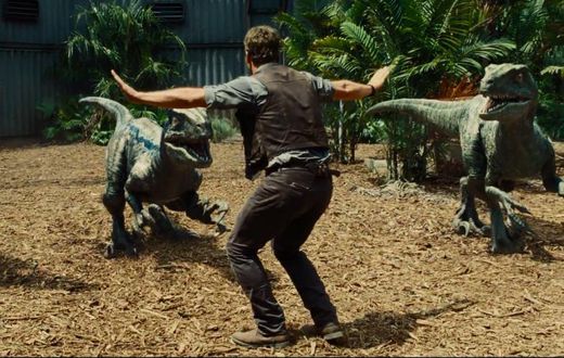 ___3682320___https:______static.pulse.com.gh___webservice___escenic___binary___3682320___2015___4___20___17___Chris-pratt-velociraptor-jurassic-world