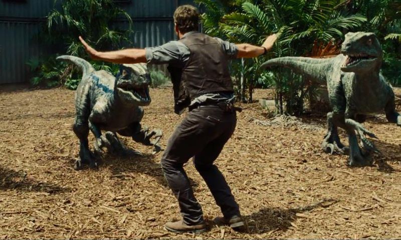 ___3682320___https:______static.pulse.com.gh___webservice___escenic___binary___3682320___2015___4___20___17___Chris-pratt-velociraptor-jurassic-world