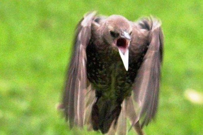 ___3690762___https:______static.pulse.com.gh___webservice___escenic___binary___3690762___2015___4___23___11___mysterious+bed