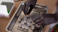 Director confirms 167 cases of cholera, 8 deaths in Plateau