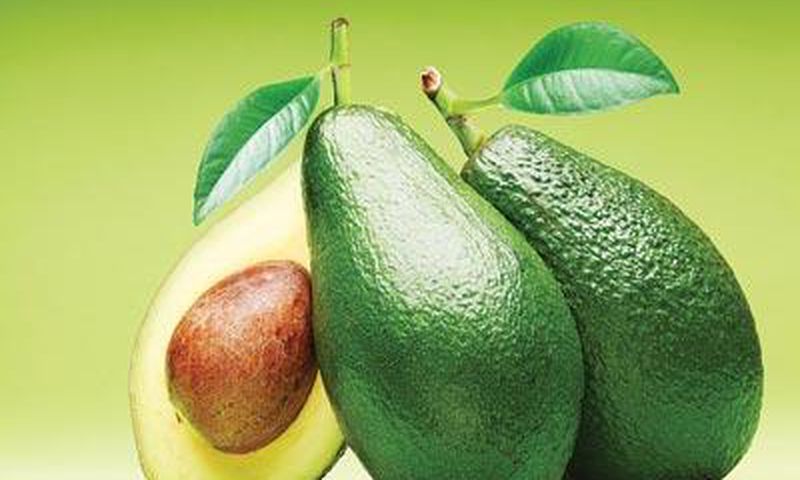 ___3877664___https:______static.pulse.com.gh___webservice___escenic___binary___3877664___2015___6___17___19___Avocado-Copy