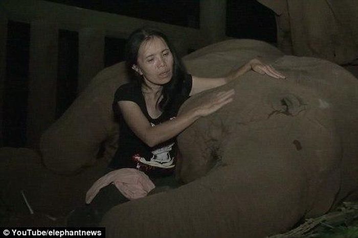 ___3890305___https:______static.pulse.com.gh___webservice___escenic___binary___3890305___2015___6___20___19___29C914CD00000578-3131676-image-a-21_1434813085210