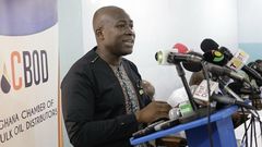 Senyo Hosi, Chief Executive Officer of Bulk Distribution Companies (BDC)