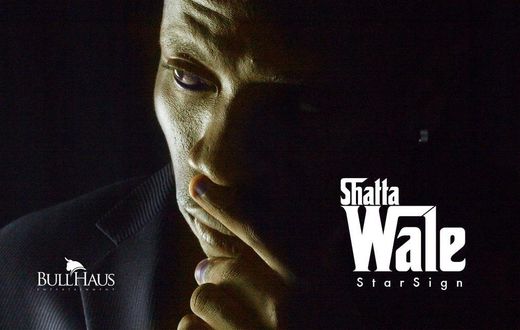 Shatta Wale - My Star Sign