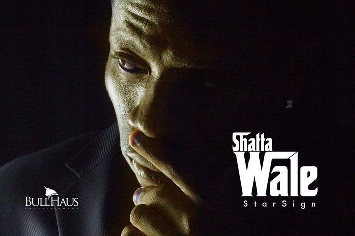 Shatta Wale - My Star Sign