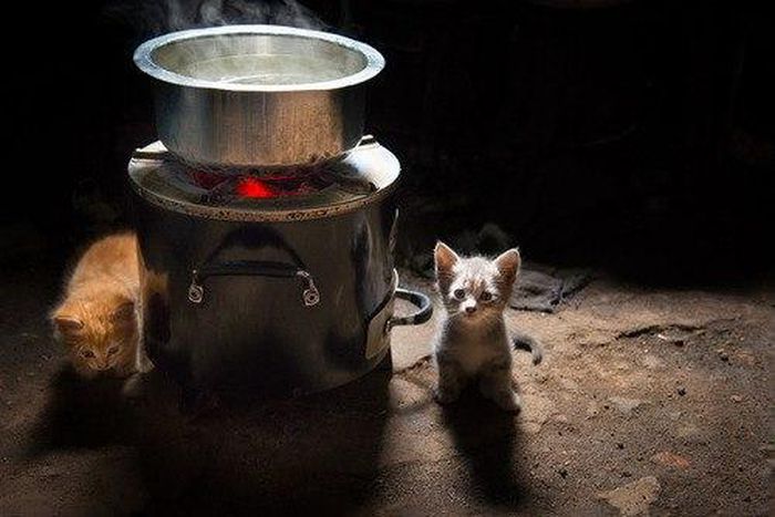 ___4235044___https:______static.pulse.com.gh___webservice___escenic___binary___4235044___2015___10___6___17___tumblr_inline_n97slqIsUN1sgr685