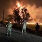 Omar Fayad, governor of Hidalgo state, said locals at the site of the leak were scrambling to steal some of the leaking oil when at least 20 of them were burned to death