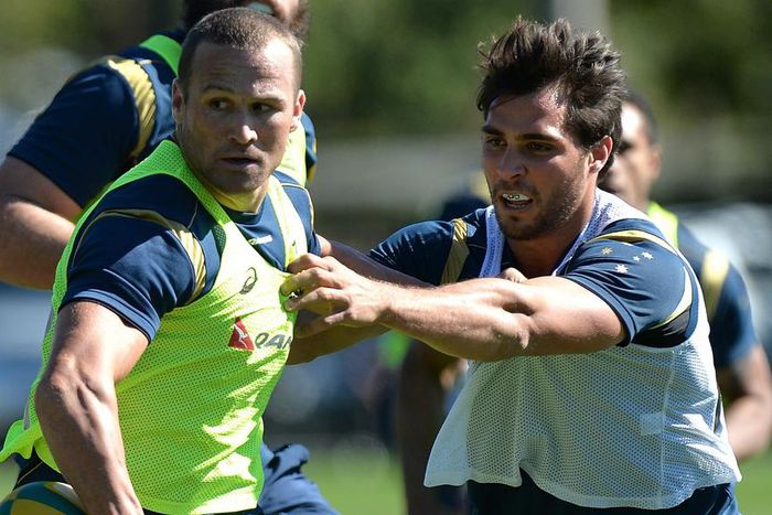 Matt Giteau set to run on against Springboks