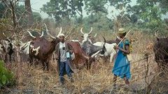 Fulani herdsmen (File Photo)