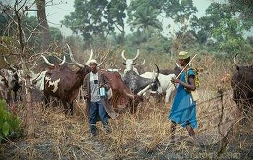 Fulani herdsmen (File Photo)