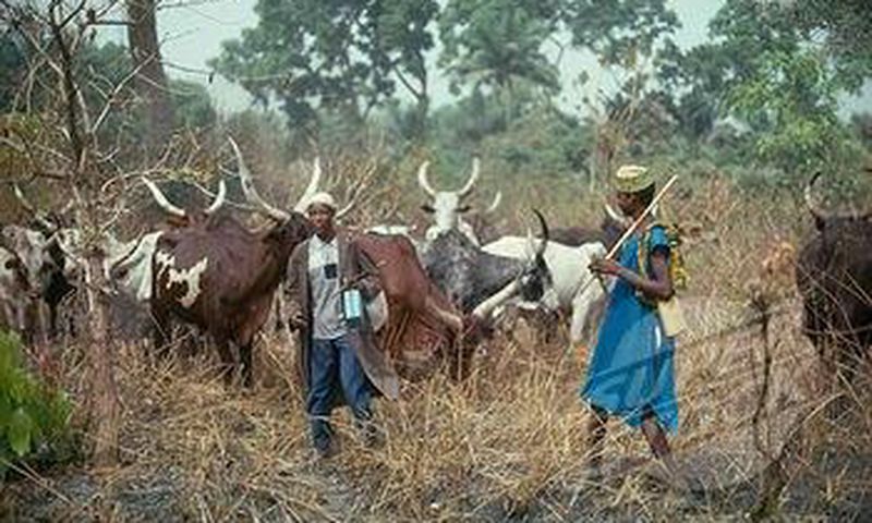 Fulani herdsmen (File Photo)