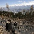 Deforestation is seen in a village in Carhuaz in the Andean region of Ancash, November 28, 2014. REUTERS/ Mariana Bazo