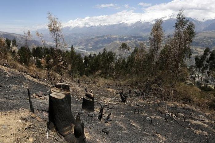 Deforestation is seen in a village in Carhuaz in the Andean region of Ancash, November 28, 2014. REUTERS/ Mariana Bazo