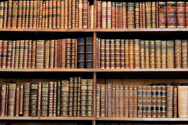 ___3966996___https:______static.pulse.com.gh___webservice___escenic___binary___3966996___2015___7___13___13___books