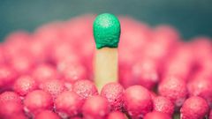 Standing out and setting yourself apart is very important to saving oneself from the competition.