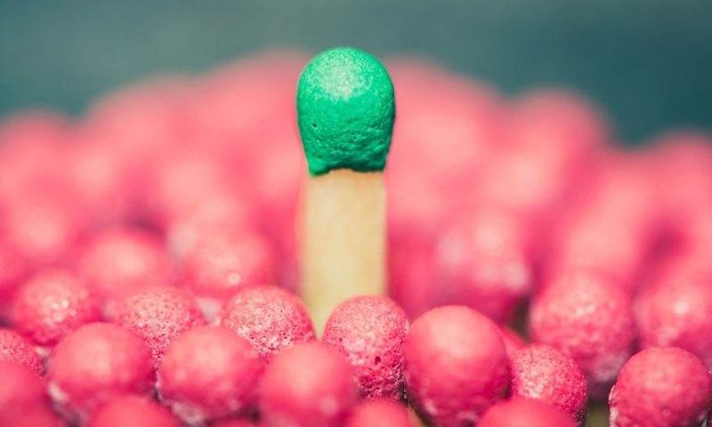 Standing out and setting yourself apart is very important to saving oneself from the competition.