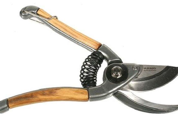 Garden Shear