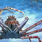 A Japanese boat fishing for spider crabs has been seized by Russian authorities