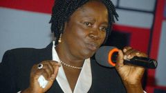 Prof Jane Naana Opoku Agyemang