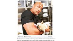 Dwayne Johnson loses puppy to food poisoning