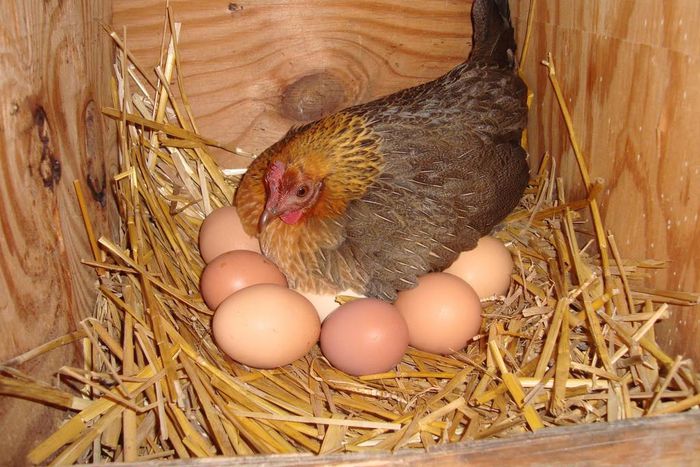 ___3658839___https:______static.pulse.com.gh___webservice___escenic___binary___3658839___2015___4___16___7___image2820198921381699506