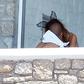 Nicole Scherzinger and Pajtim Kasami kissing in Greece