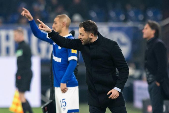 Schalke head coach Domenico Tedesco took a gamble on Friday at Hertha Berlin by leaving club captain and goalkeeper Ralph Faehrmann on the bench