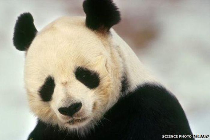 ___3754845___https:______static.pulse.com.gh___webservice___escenic___binary___3754845___2015___5___13___17____82961652_82956927