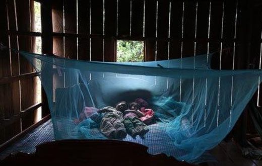 ___3843810___https:______static.pulse.com.gh___webservice___escenic___binary___3843810___2015___6___9___10___Malaria-bednet-Cambodia-008