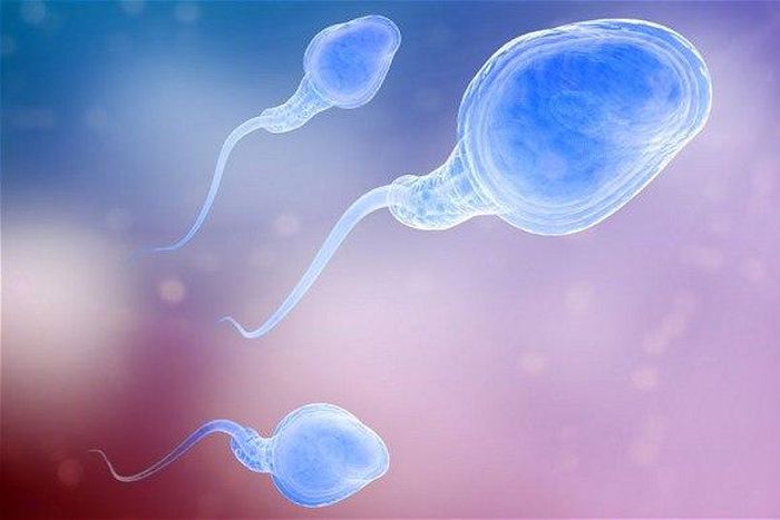 ___3908041___https:______static.pulse.com.gh___webservice___escenic___binary___3908041___2015___6___25___18___sperm_2898623b